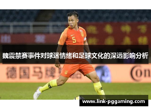 魏震禁赛事件对球迷情绪和足球文化的深远影响分析